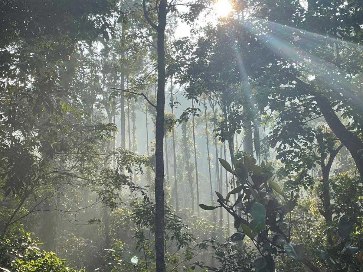 Rai'S Coorg Cave House Villa มาดิเครี ภายนอก รูปภาพ